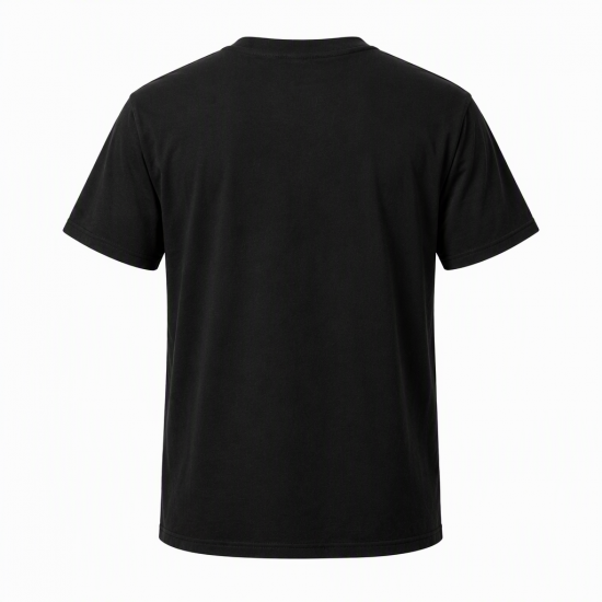 SULLEN CLOTHING HIGH AND LOW STANDARD T-SHIRT